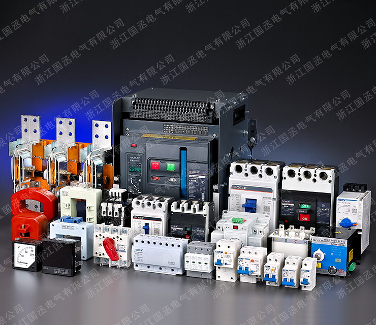 浙江國丞電氣有限公司網站開通啦